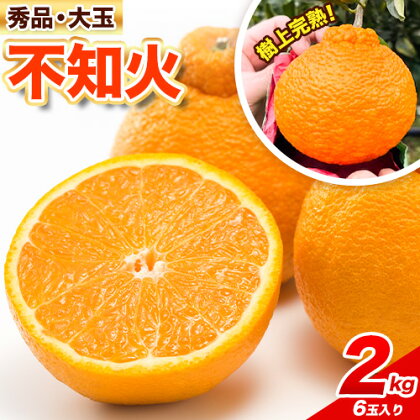 【先行予約】秀品 大玉 不知火 約 2kg 6玉 紀農人株式会社《2025年2月中旬-4月上旬頃出荷》 和歌山県 日高町 果物 フルーツ 柑橘 蜜柑 柑橘類 旬 しらぬい