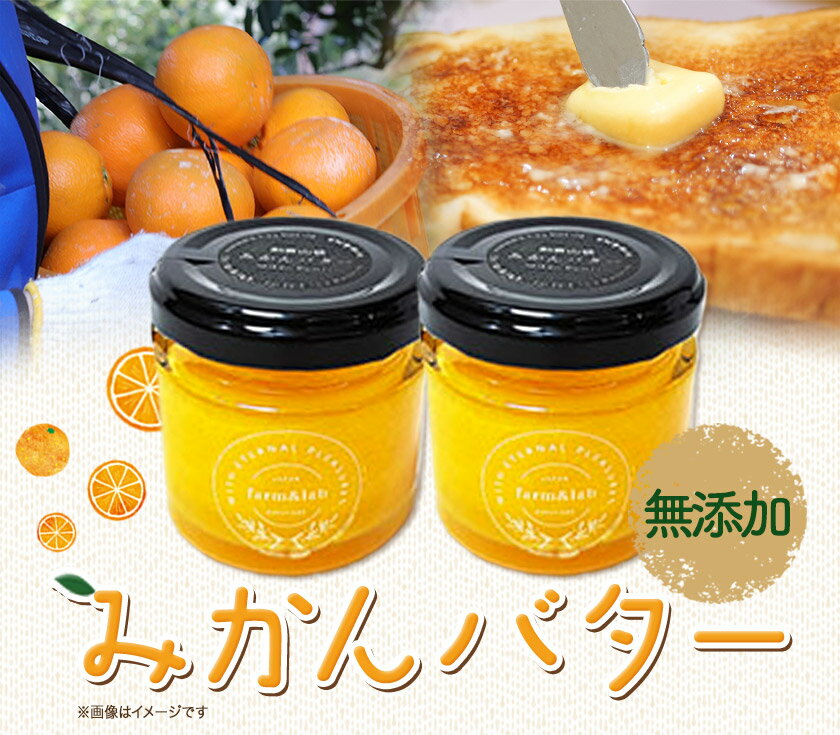 マルトモ 鰹節屋のこだわり椀　12個セット