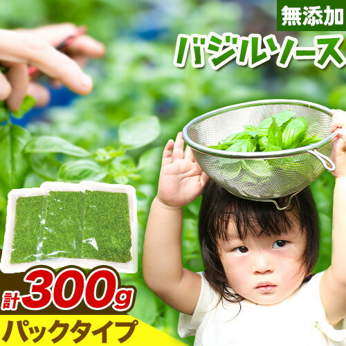 【ふるさと納税】 バジルソース 無添加 バジル パック 計 300g 100g×3パック Farm&lab 《30日以内に出荷予定(土日祝除く)》和歌山県 日高...