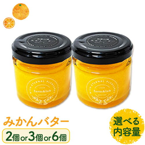 みかんバター 選べる内容量 2個 3個 6個 Farm&lab [30日以内に発送予定(土日祝除く)]和歌山県 日高町 みかん 柑橘 果物 無添加 バター セット