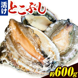 【ふるさと納税】とこぶし 活け 約600g 比井崎漁業協同組合《6月上旬-9月上旬頃出荷》和歌山県 日高町 とこぶし 生もの 海鮮 貝 和歌山県産 冷蔵 流れ子 ながれこ ナガレコ