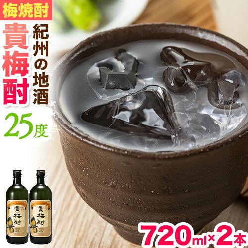 紀州の地酒 貴梅酎 きばいちゅう 25度 720ml×2本 エバグリーン 中野BC株式会社[30日以内に出荷予定(土日祝除く)]和歌山県 日高町 酒 お酒 地酒 梅焼酎