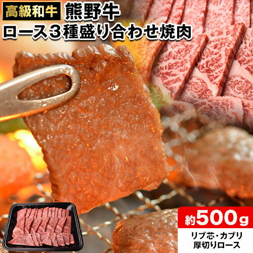 【ふるさと納税】和歌山産 高級和牛 熊野牛 ロース盛合せ焼肉 約500g エバグリーン《30日以内に出荷予定(土日祝除く)》 和歌山県 日高町 牛 うし 牛肉 熊野牛 和牛 高級 【ふるさと納税】和歌山産 高級和牛 熊野牛 ロース盛合せ焼肉 約500g エバグリーン《30日以内に出荷予定(土日祝除く)》 和歌山県 日高町 牛 うし 牛肉 熊野牛 和牛 高級