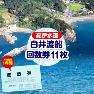 【ふるさと納税】白井渡船回数券 利用券11枚組 白井渡船《30日以内に出荷予定(土日祝除く)》和歌山県 日高町 紀伊水道 田杭港沖 回数券 レジャー 釣り 乗船