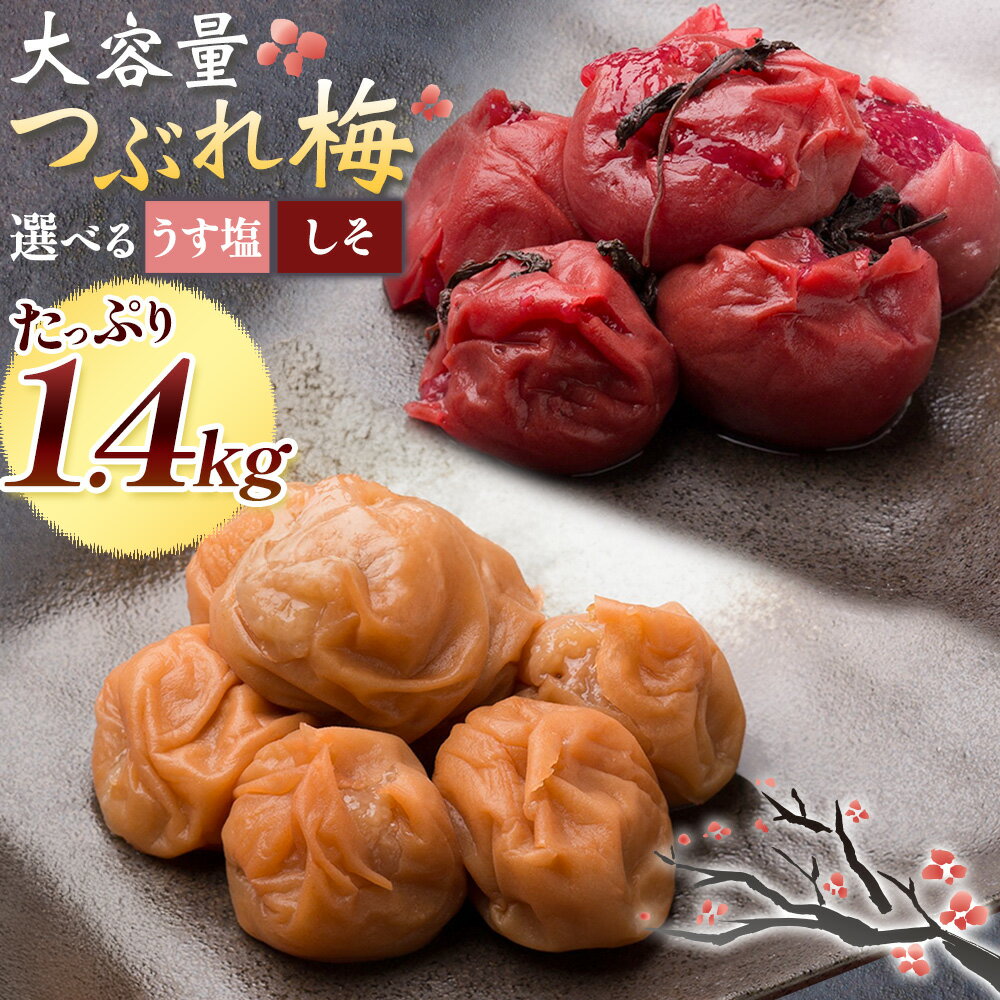 【ふるさと納税】梅干し 紀州南高梅 つぶれ梅 大容量 花 うす塩 しそ 1.4kg 700g ×2パック 《60日以内に出荷予定(土日祝除く)》 株式会社やまだ 和歌山県 日高町 梅 塩 梅干 うめぼし 米 おかず しそ漬 国産 送料無料