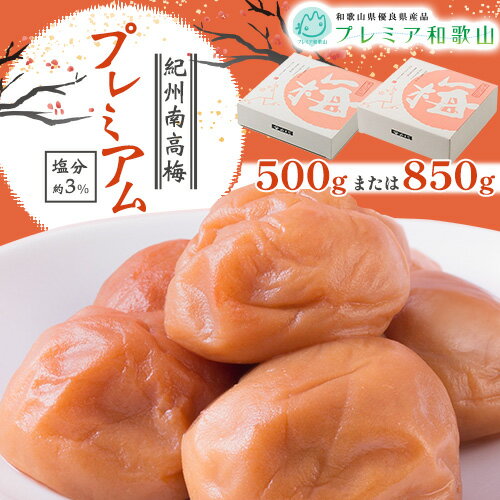 梅干し 紀州南高梅 プレミアム 塩分 約3% 500g または 850g [60日以内に出荷予定(土日祝除く)] 株式会社やまだ 和歌山県 日高町 梅 塩 梅干し 米 おかず 国産 送料無料