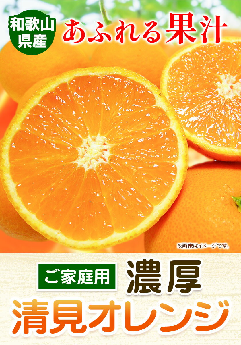 【ふるさと納税】清見 オレンジ 有田 育ちの 濃厚 清見オレンジ 選べる 約 3kg 約 5kg 有田マルシェ ご家庭用《2下旬-3下旬頃出荷》和歌山県 日高町 清見オレンジ 柑橘 柑橘類 送料無料