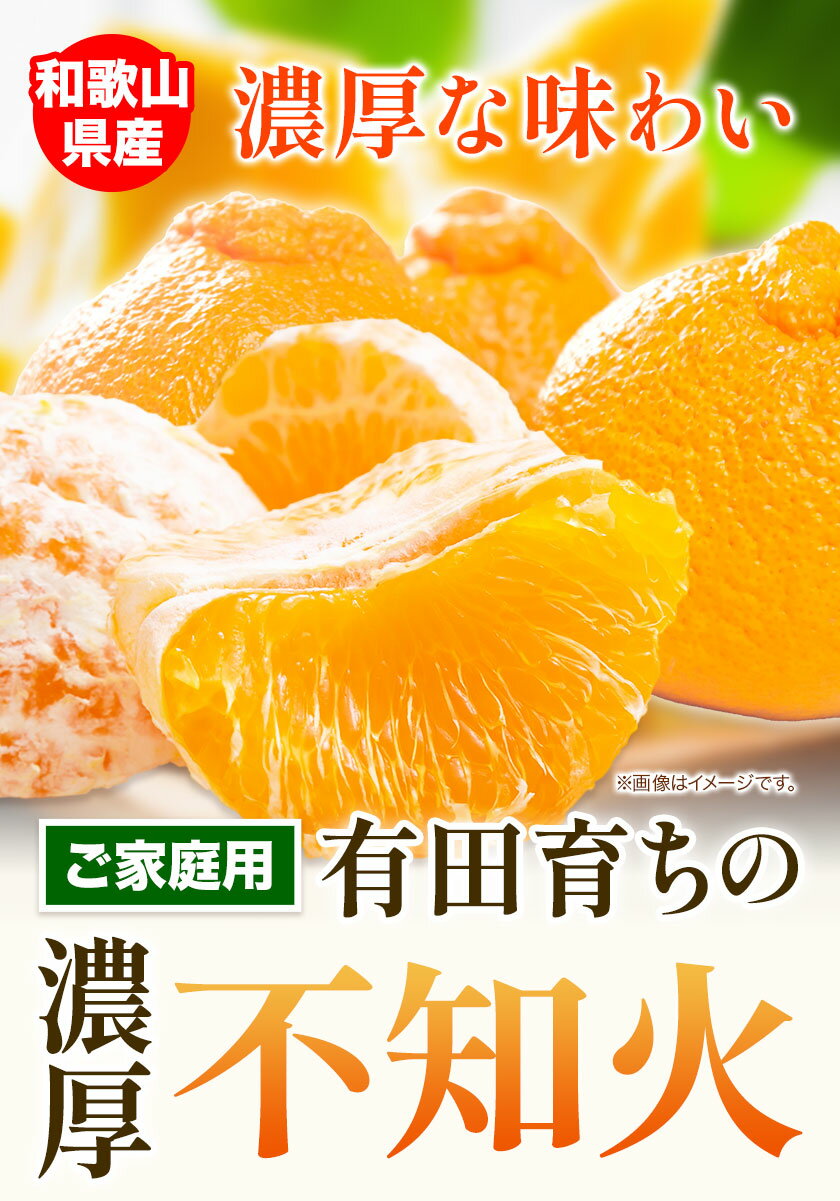 ＜先行予約＞【ふるさと納税】しらぬい 有田 育ちの 濃厚 不知火 ( デコポン と同品種 ) 選べる 約 2.5kg 約 5kg 有田マルシェ ご家庭用《1月下旬-3月末頃出荷》和歌山県 日高町 不知火 しらぬい デコポン でこぽん 柑橘 柑橘類 送料無料