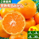 【ふるさと納税】みかん ご 家庭用 完熟 有田みかん 約 1kg 約 ...(4)
