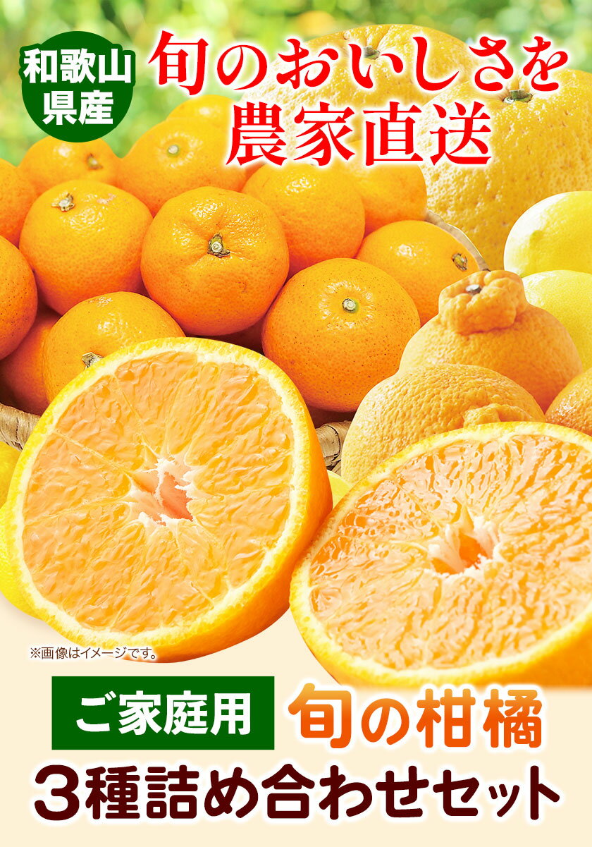 【ふるさと納税】ご家庭用 柑橘セット 有田育ちの旬の柑橘 詰め合わせセット 選べる 約 2.5kg 約 5kg 有田マルシェ《1上旬-4下旬頃出荷》和歌山県 日高町 柑橘セット 柑橘 柑橘類 みかん 不知火 しらぬい はるか 清見 家庭用 訳あり わけあり 送料無料