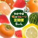 【ふるさと納税】わかやま旬の フルーツ 定期便 【全3回】 選べる 内容量 S L 有田マルシェ《発送月固定・全3回出荷》 和歌山県 日高町 苺 いちご 柑橘 ...