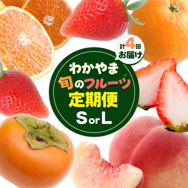 和歌山県日高町の【ふるさと納税】わかやま旬の フルーツ 定期便 【全4回】 選べる 内容量 S L 有田マルシェ《発送月固定・全4回出荷》 和歌山県 日高町 苺 いちご 柑橘 オレンジ 小玉 みかん 有田 みかん たねなし柿 柿 桃 モモ もも 果物 定期 柑橘 果物【配送不可地域あり】|詳細画像
