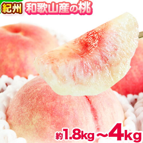 【ふるさと納税】桃 もも 紀州 和歌山産 の 桃 選べる 1
