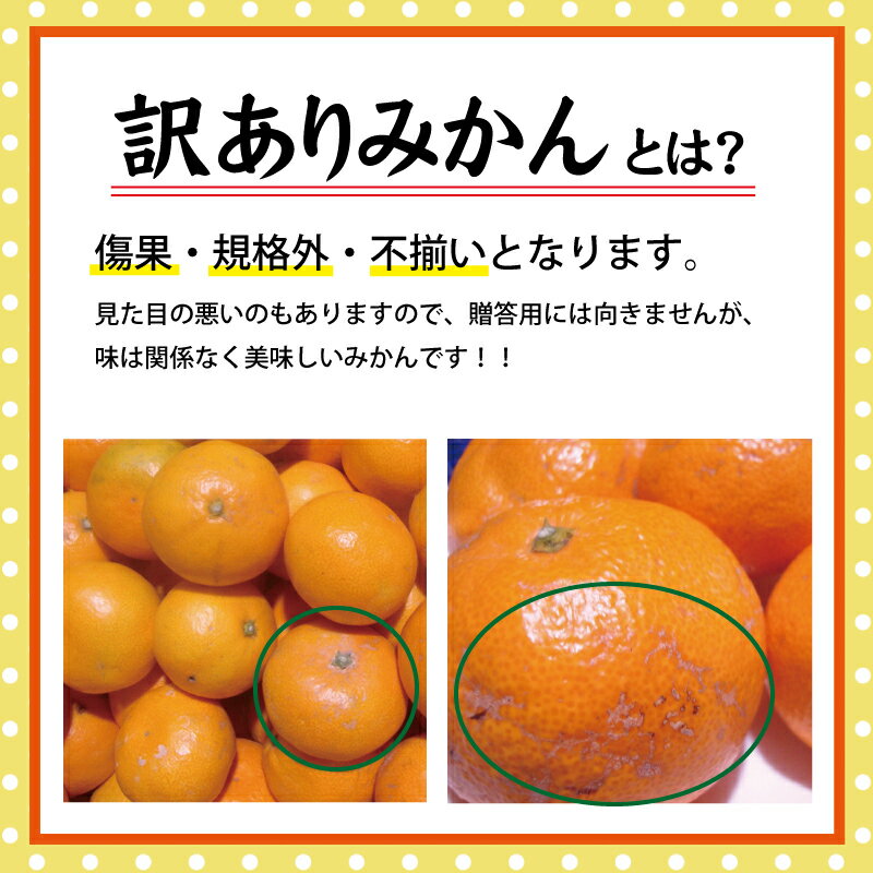 【ふるさと納税】＼レビューキャンペーン中／【訳あり】有田みかん サイズ混合 ※11月中旬より順次発送予定（お届け日指定不可）※北海道・沖縄・離島への配送不可 / 温州みかん 訳あり 蜜柑 ミカン 柑橘 由良町 果物 フルーツ 産地直送 和歌山県 8000円