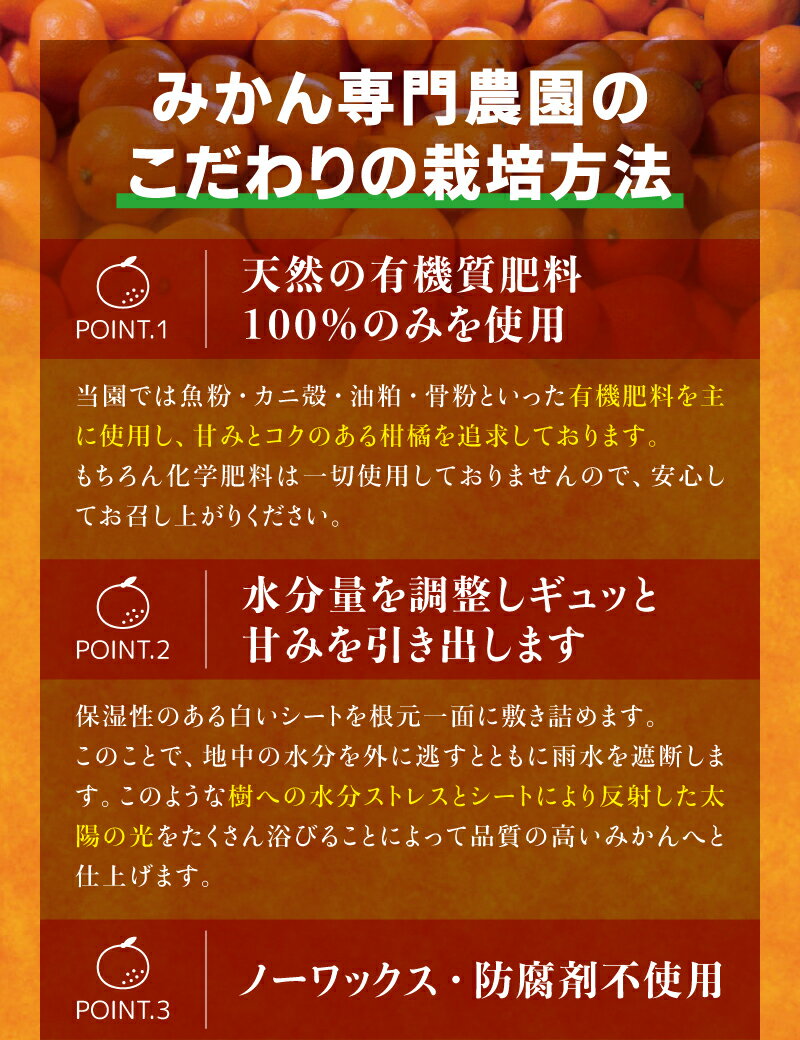 【ふるさと納税】＼レビューキャンペーン中／【訳あり】有田みかん サイズ混合 ※11月中旬より順次発送予定（お届け日指定不可）※北海道・沖縄・離島への配送不可 / 温州みかん 訳あり 蜜柑 ミカン 柑橘 由良町 果物 フルーツ 産地直送 和歌山県 8000円
