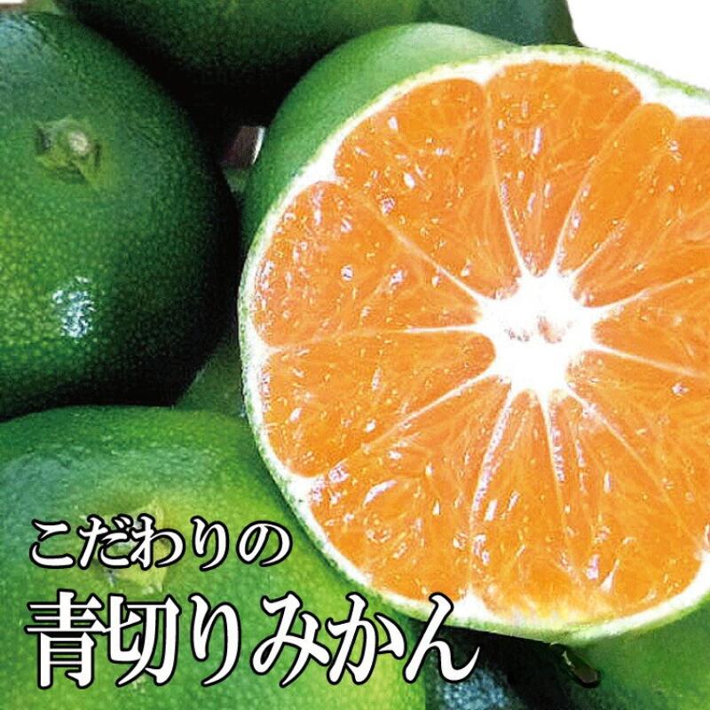 ＼レビューキャンペーン中/[先行予約][2025年秋頃発送予約分]＼農家直送/こだわりの青切りみかん [選べる容量]※北海道・沖縄・離島配送不可 / 温州みかん 蜜柑 ミカン 柑橘 由良町 果物 フルーツ 産地直送 和歌山県