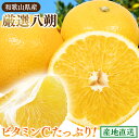 【ふるさと納税】 八朔 厳選 / はっさく みかん 柑橘 晩柑 和歌山 甘い 5000円 / 1kg 2.5kg 5kg 7.5kg 10kg ※2026年1月~4月下旬ごろに順次発送予定 ※北海道・沖縄・離島への配送不可