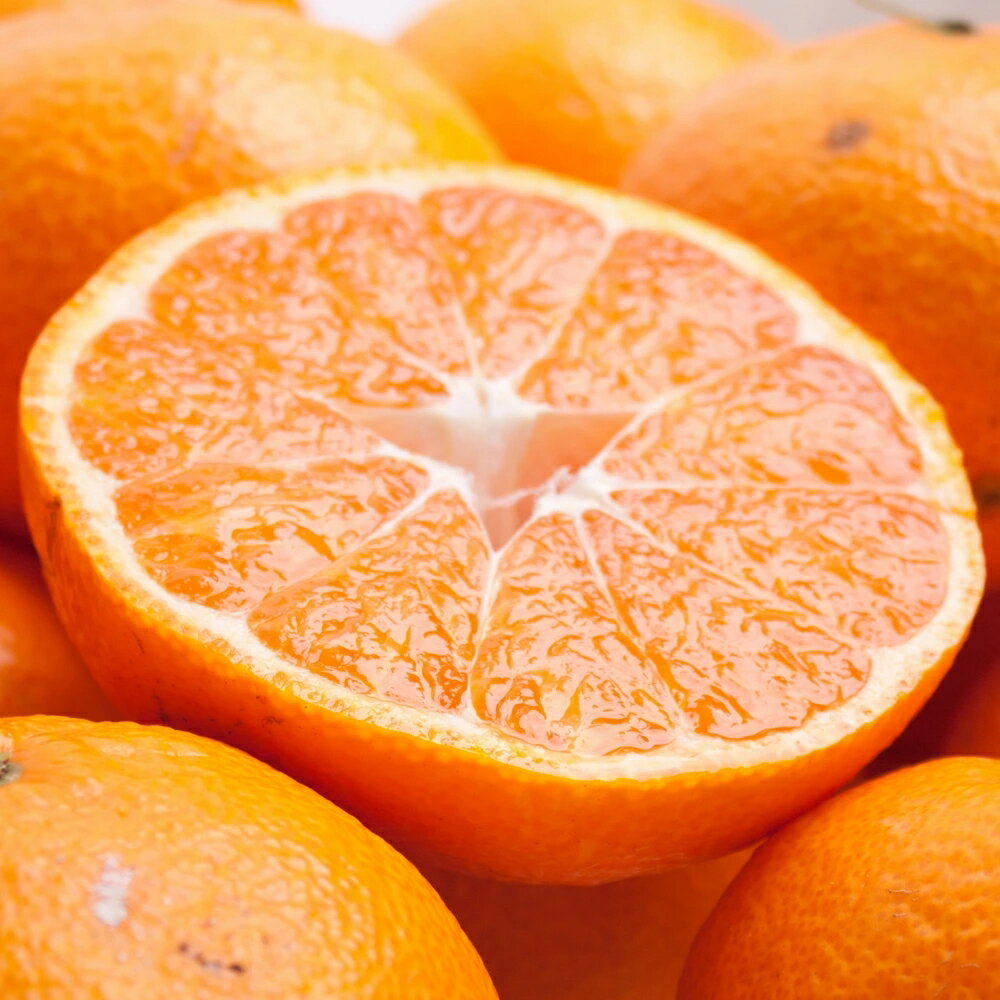 【ふるさと納税】 柑橘詰合せ 家庭用 / みかん 訳あり オレンジ 柑橘 晩柑 和歌山 有田 甘い 詰め合わせ フルーツ 1kg / 2.5kg / 5kg / 7.5kg / 10kg ※2026年1月〜4月下旬ごろに順次発送予定 ※北海道・沖縄・離島への配送不可