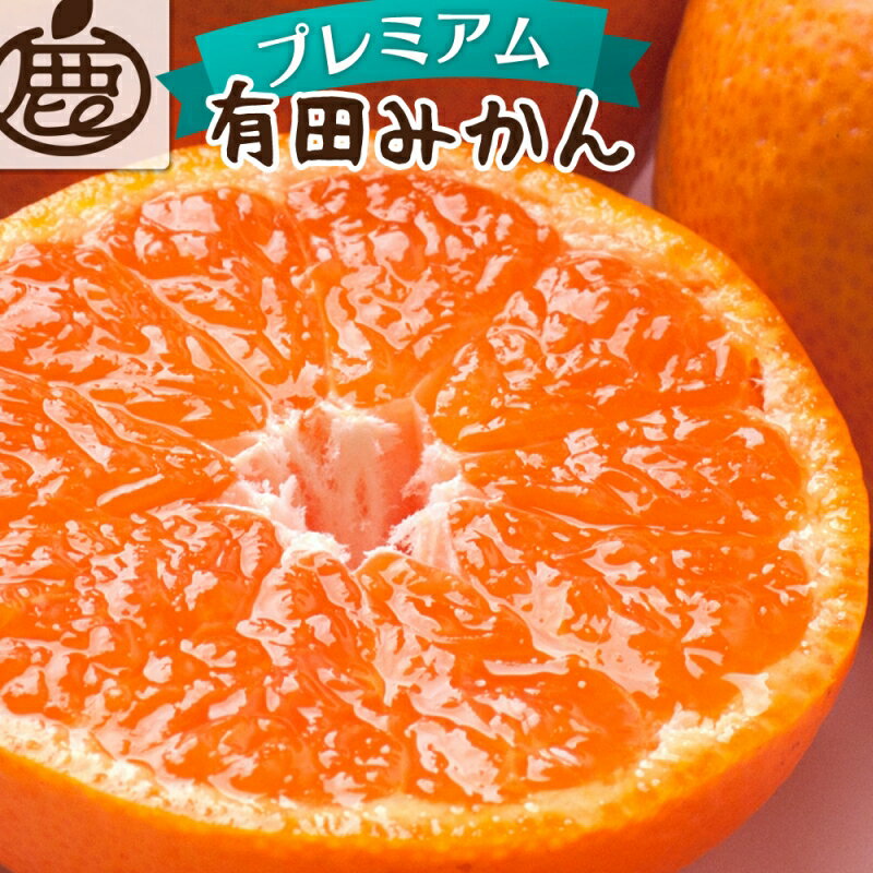 [先行予約]プレミアム有田みかん [先行予約] [選べる容量・発送時期] [光センサー選果][2025年10月より順次発送予定]/ 和歌山 有田 みかん 柑橘 フルーツ 果実 果物 ふるーつ おれんじ オレンジ ミカン 早生みかん 完熟みかん