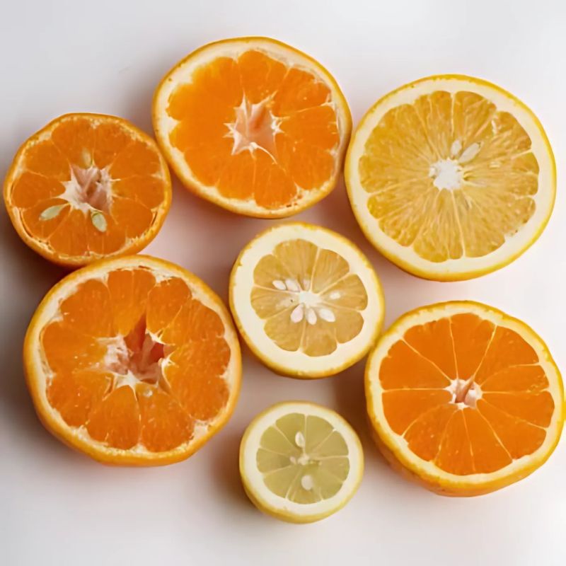 【ふるさと納税】 旬の 柑橘詰合せ 厳選 / 光センサー 選別 みかん オレンジ 柑橘 晩柑 和歌山 有田 甘い 詰め合わせ フルーツ 1kg / 2.5kg / 5kg / 7.5kg / 10kg （傷み補償分）※2026年1月〜4月下旬ごろに順次発送予定 ※北海道・沖縄・離島への配送不可