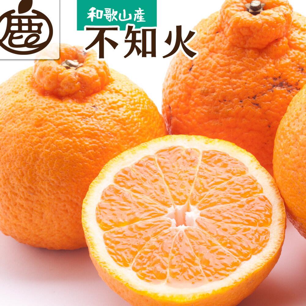 [先行予約] [2月より発送] 厳選 不知火 デコポンと同品種 人気の春みかん 光センサー選別 [IKE123] | みかん 不知火 しらぬい デコポン 春みかん 厳選 和歌山 蜜柑 柑橘 柑橘類 果物 フルーツ 和歌山県 由良町 お取り寄せ