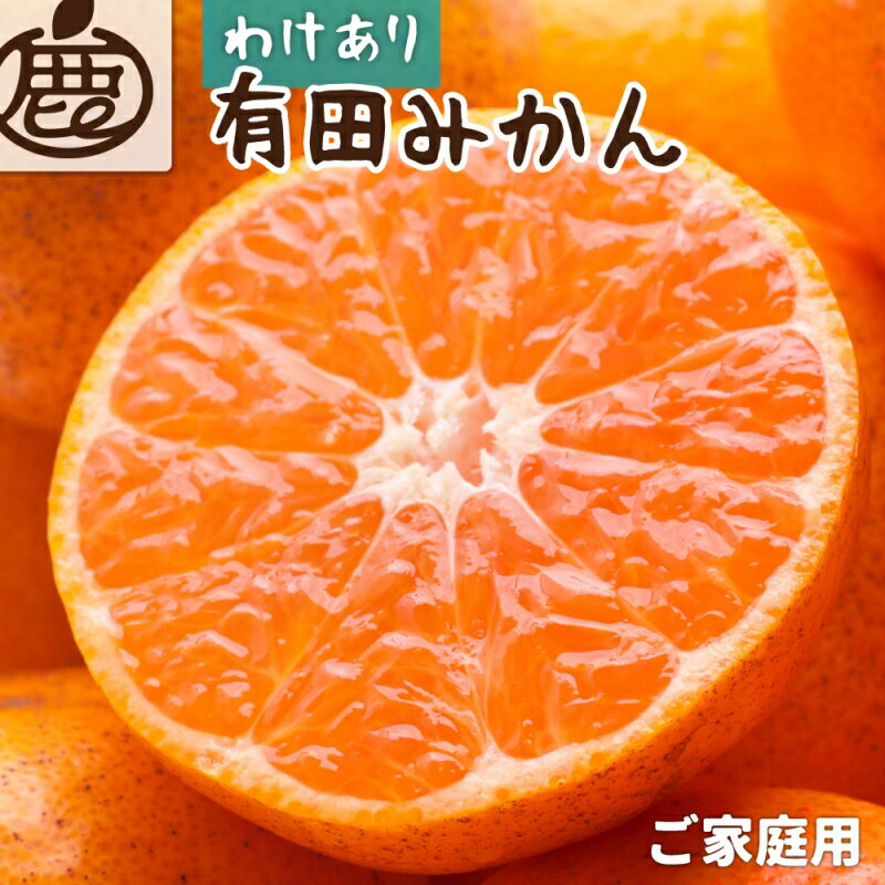[先行予約]家庭用 有田みかん サイズ混合 (2S〜2L)[わけあり・訳あり] [選べる容量・発送時期] ※2025年10〜順次発送予定 | フルーツ 果物 くだもの 食品 人気 おすすめ 送料無料 わけあり 光センサー選果