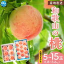 【ふるさと納税】★レビューキャンペーン中★ 和歌山県産の桃【選べる容量】5〜8玉 11〜15玉 【2025年6月中旬頃から8月上旬頃順次発送予定】 / もも モ...