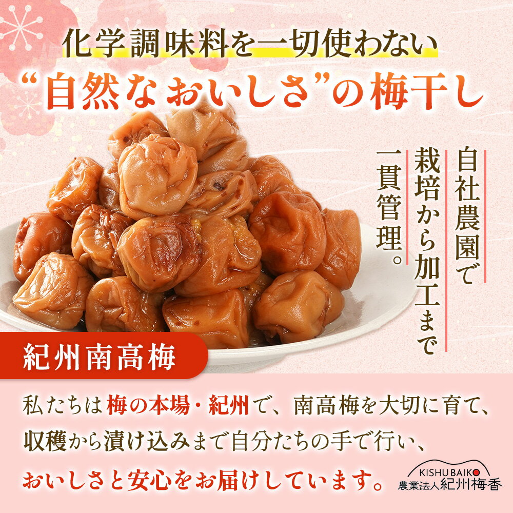 【ふるさと納税】 梅干し 無添加 訳あり 減塩 つぶれ梅 1kg （500×2）塩分3％ / 無農薬 和歌山 紀州南高梅 うめぼし 南高梅 つぶれ わけあり