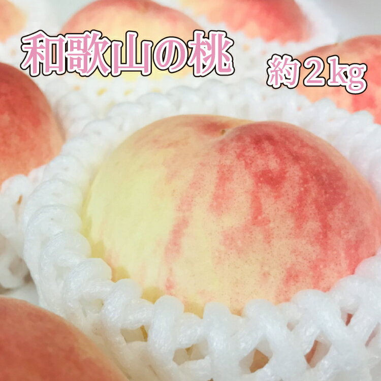 フルーツ王国 和歌山 の 桃 約2kg(fr-06)_ 先行予約 2025年6月中旬から7月下旬発送[MS107] | もも フルーツ 果物 くだもの 食品 人気 おすすめ 送料無料