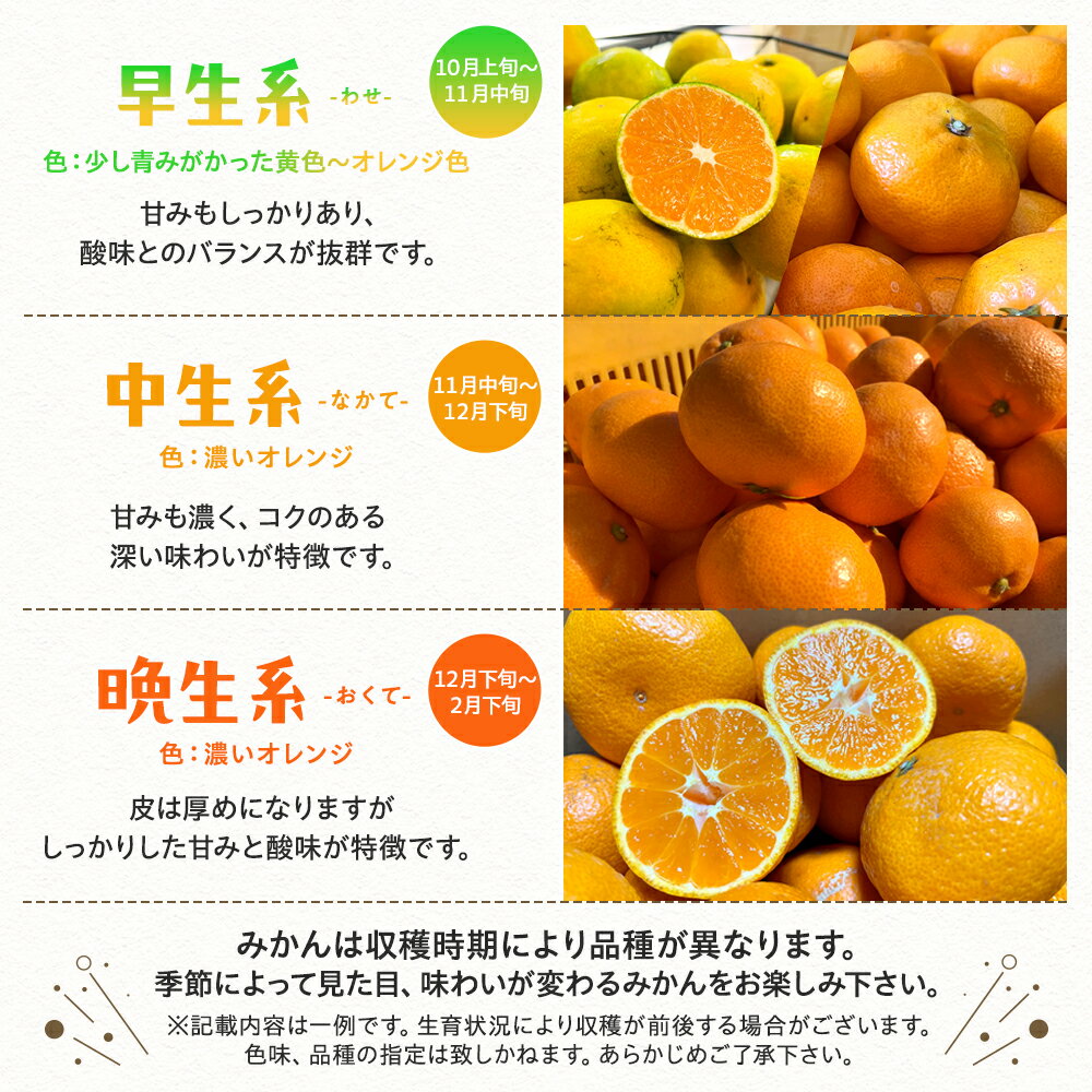 【ふるさと納税】＜先行予約＞有田育ちの完熟有田みかん 家庭用【選べる 容量・発送月】 ※2025年10月～2025年12月発送（北海道・沖縄・その他離島地域は発送不可） / 有田みかん ミカン 柑橘 甘い くだもの フルーツ 果物 産地直送 和歌山