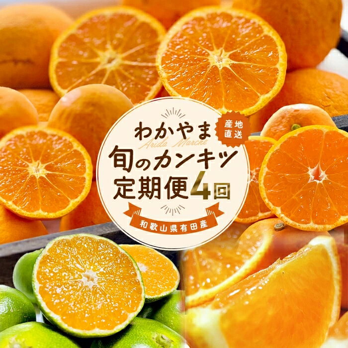 ★[全4回]和歌山旬のカンキツ定期便[S]3・5・9・11月発送(ご家庭用)※北海道・沖縄県・離島への配送不可 / 春の柑橘 初夏の柑橘 青切り 有田みかん 完熟有田みかん フルーツ くだもの 果物