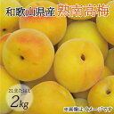【ふるさと納税】【梅干・梅酒用】(2LまたはL-2Kg)熟南高梅<2026年6月上旬~7月上旬発送予定>フルーツ 果物 くだもの 食品 人気 おすすめ 送料無料【ART04】
