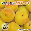 【ふるさと納税】【梅干・梅酒用】(LまたはM-2Kg)熟南高梅<2026年6月上旬~7月上旬頃発送予定>フルーツ 果物 くだもの 食品 人気 おすすめ 送料無料【ART07】