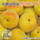 【ふるさと納税】【梅干・梅酒用】(LまたはM-10Kg)熟南高梅<2026年6月上旬~7月上旬発送予定>フルーツ 果物 くだもの 食品 人気 おすすめ 送料無料【ART08】