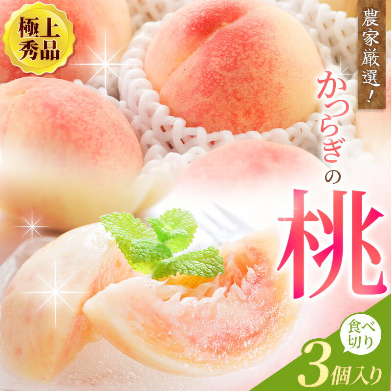 ڤդ뤵Ǽǡۡӥ塼ڡ桿 ˾彨 ٤䤹3 ͽۡ2025ǯ67缡ȯۤ...