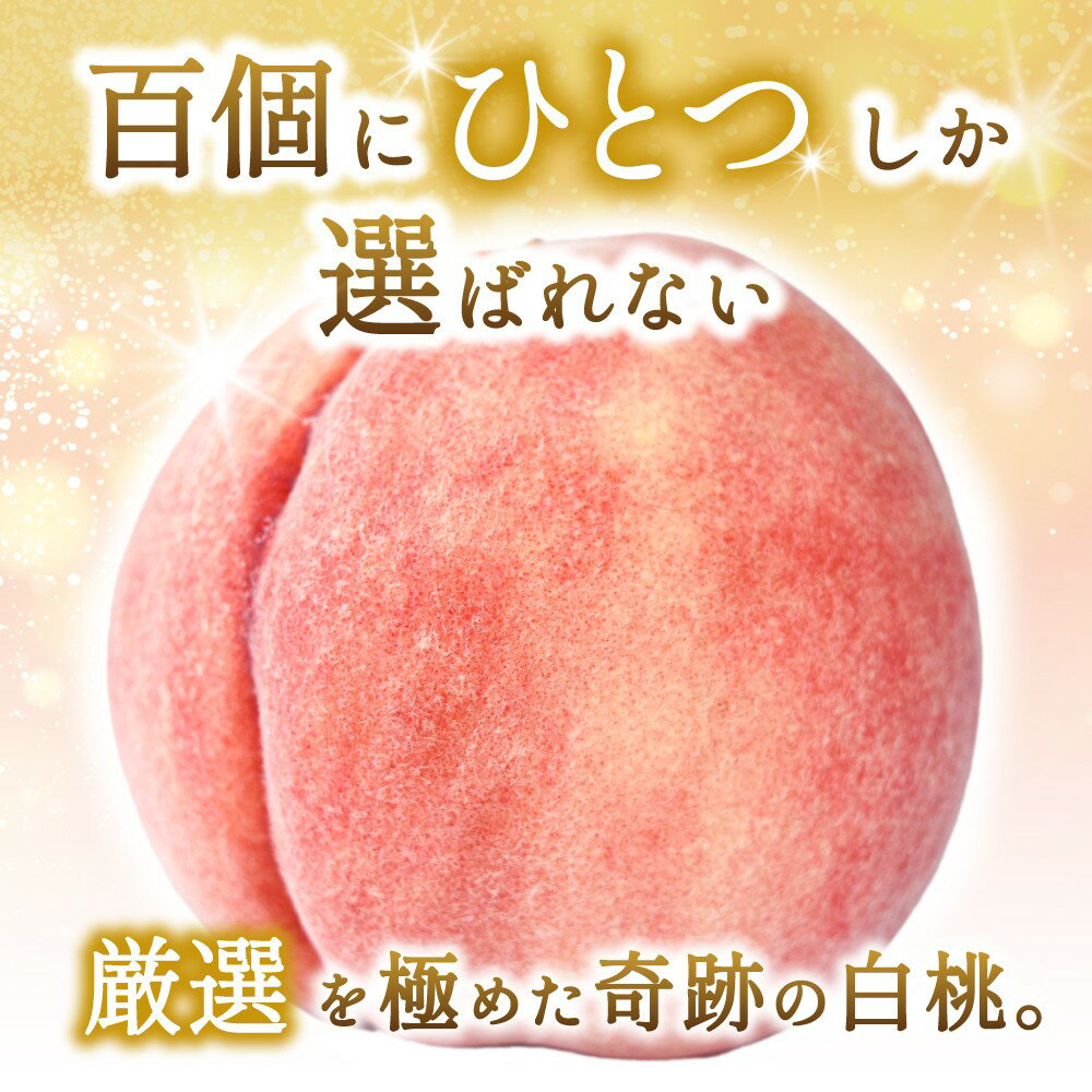 【ふるさと納税】 【特選最上級！】 川中島白桃 秀品 6個入り / もも 桃 特選 和歌山 甘い ※2026年7月末から8月末順次発送予定