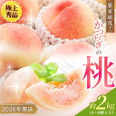 【ふるさと納税】桃 極上秀品 約2kg 6~8個入【先行予約】【2026年7月末頃~2026年8月末頃に順次発送予定】(お届け日指定不可) こだわり農家厳選【KG2】 | もも フルーツ 果物 くだもの 食品 人気 おすすめ 送料無料