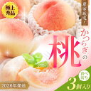 【ふるさと納税】\レビューキャンペーン中/桃 極上秀品 食べきりやすい3個入 【先行予約】【2026年7月末頃~2026年8月末頃に順次発送予定】(お届け日指定不可)こだわり農家厳選!【KG1】 | もも フルーツ 果物 くだもの 食品 人気 おすすめ 送料無料