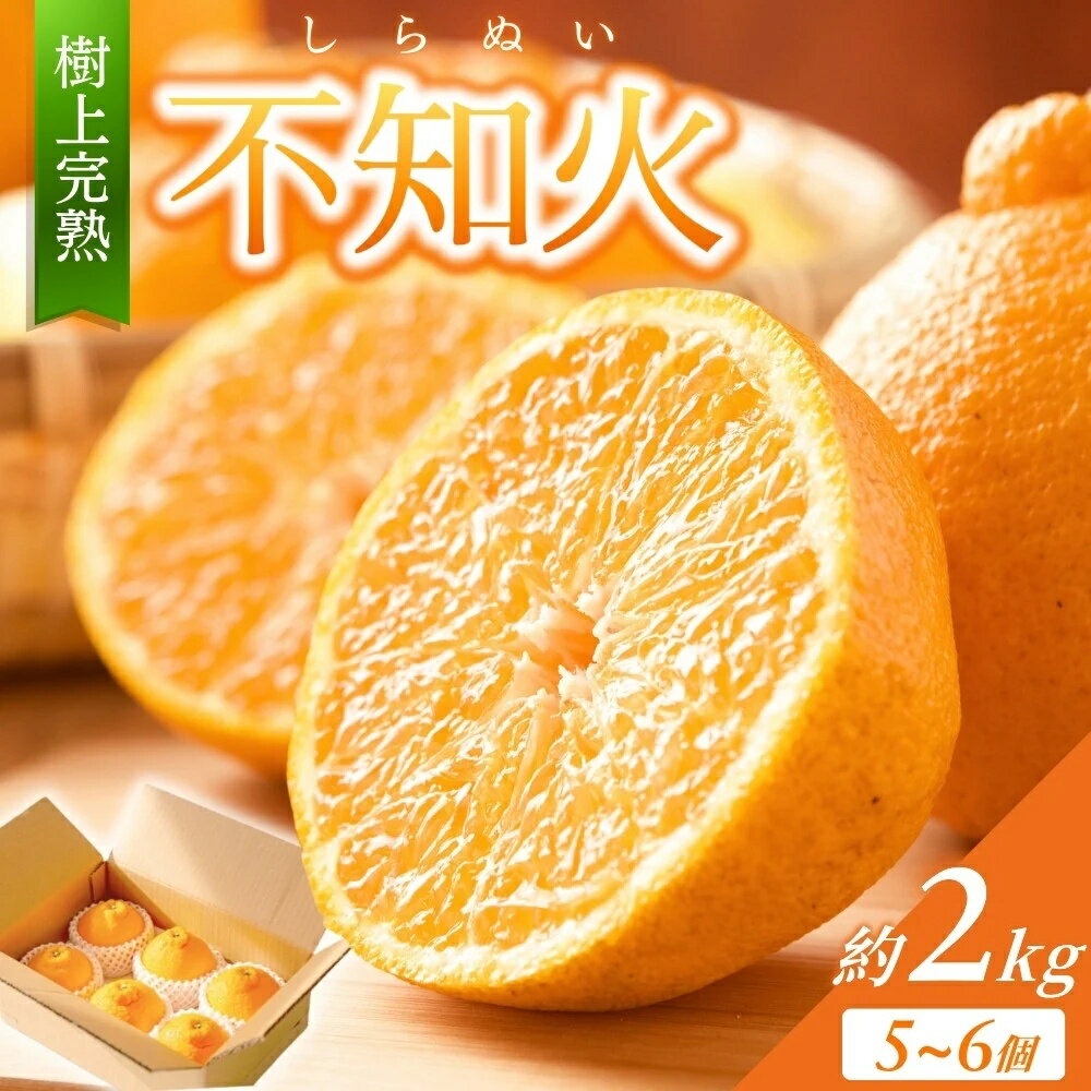 ڤդ뤵Ǽǡۡڸ β 崰 2kg 56ˡ2026ǯ2ܺ4ܺޤȯۡKG6 / β ...