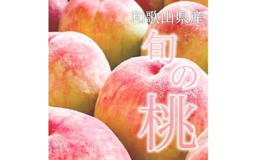 【ふるさと納税】和歌山県産 旬 の 桃 5~6玉入り 秀品【2025年6月下旬より順次発送】 【ふるさと納税】和歌山県産 旬 の 桃 5~6玉入り 秀品【2025年6月下旬より順次発送】