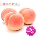 【ふるさと納税】☆2026年先行予約☆和歌山県産 白鳳 桃 11~16玉入り 訳あり ご家庭用 数量限定 先行予約【2026年6月下旬から7月中旬ごろ発送】 | もも モモ 桃 秀品 和歌山県 名産品 フルーツ 直送 おすすめ お取り寄せ期間限定 数量限定