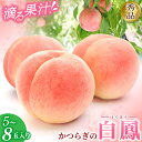 1位! 口コミ数「11件」評価「3.91」\レビューキャンペーン中/和歌山県産 白鳳 桃 5~8玉入り 秀品 先行予約【2025年6月下旬以降発送】【MG6】 | もも モモ 桃 白鳳 秀品 和歌山県 先行予約 名産品 フルーツ 産直 産地直・・・