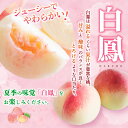 和歌山県由良町の画像2