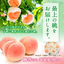 和歌山県由良町の画像3