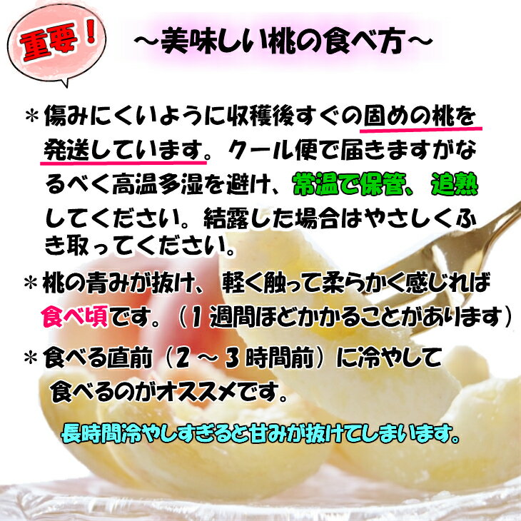 【ふるさと納税】【秀品】和歌山ブランド白桃 約2kg！2025年 7月発送分【NGT6】 | もも フルーツ 果物 くだもの 食品 人気 おすすめ 送料無料