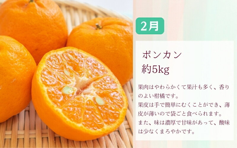 【ふるさと納税】【全3回】 【2月・3月・4月発送】 和歌山の春の柑橘 （ポンカン・はるか・ブラッドオレンジ）秀品