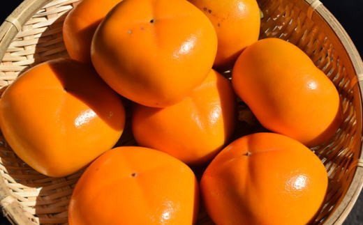 【ふるさと納税】【秋の味覚】和歌山産たねなし柿2L～4Lサイズ約4kg（化粧箱入り）★2025年10月頃より順次発送【TM192】