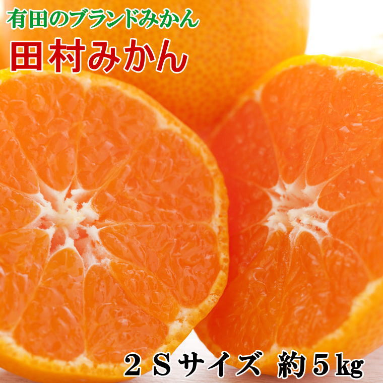 【ふるさと納税】【ブランドみかん】田村みかん約5kg（2Sサイズ・秀品）★2025年11月中旬頃より順次発送【TM105】 | 和歌山県 由良町 和歌山 由良 和歌山県由良町 楽天ふるさと 納税 取り寄せ お取り寄せ フルーツ ご当地 みかん ミカン 蜜柑 柑橘 柑橘類