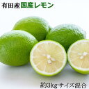 【ふるさと納税】有田産の安心国産レモン約3kg (サイズ混合)※2025年10月中旬~2026年4月下旬頃に順次発送予定(お届け日指定不可)【TM61】 | 檸檬 れもん フルーツ 果物 くだもの 食品 人気 おすすめ 送料無料