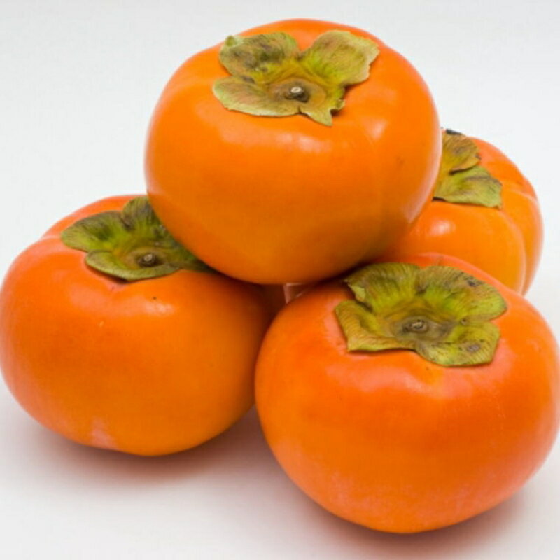 【ふるさと納税】【2026年秋・発送分！】[甘柿の王様]和歌山産富有柿約3.5kgサイズ混合★2026年10月下旬頃より順次発送 | フルーツ 果物 くだもの 食品 人気 おすすめ 送料無料【tec980A】